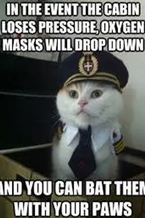 ปกนิยาย The legend of the duck & bear ตำนานเป็ดและหมี