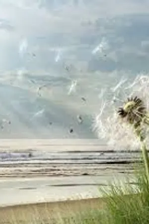 ปกนิยาย Fic.Nct Nomin [7 DAY] 7 วันแห่งความทรงจำ