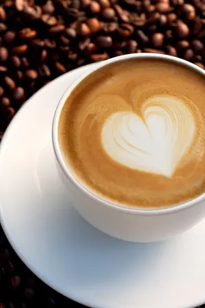 ปกนิยาย Cafe' of love รักวุ่นวายสไตร์กาแฟ