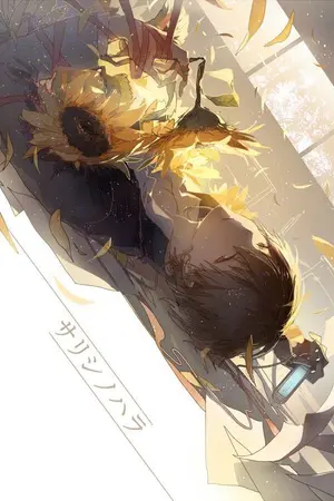 ปกนิยาย [Mpreg]ดอกไม้ของเจ้าพ่อ : Sunflower