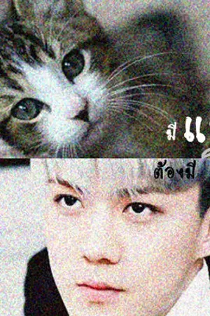 ปกนิยาย มีแมวต้องมีโอ (HunHan)