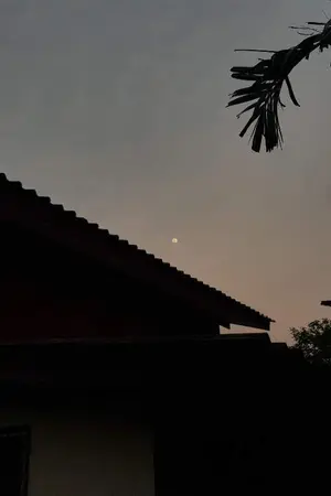 ปกนิยาย I'm here. (Lujung)