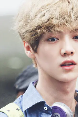ปกนิยาย [FIC EXO] Mafia in Cute (Hunhan ft.Kaido Chanbaek)