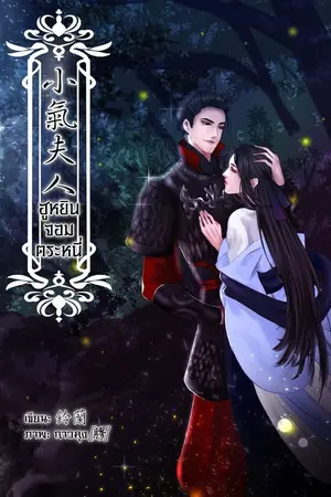 ปกนิยาย ฮูหยินจอมตระหนี่ (จบแล้ว) // มี E-Book