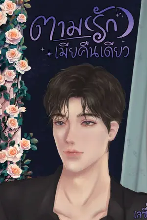 ปกนิยาย ตาม(รัก)เมียคืนเดียว | จบแล้ว