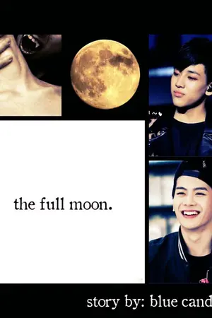 ปกนิยาย [FIC GOT7]  THE FULL MOON. (BamSon)