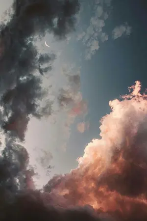 ปกนิยาย ฟ้าขม