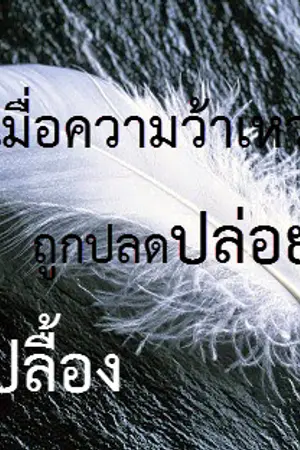 ปกนิยาย