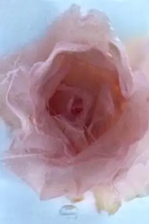 ปกนิยาย ใต้ปีกบาปสาปด้วยรัก