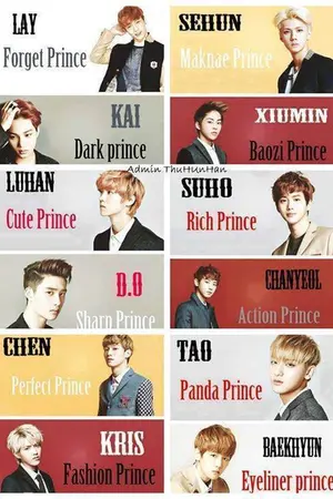 ปกนิยาย Pretty The Prince ( Exo x you )