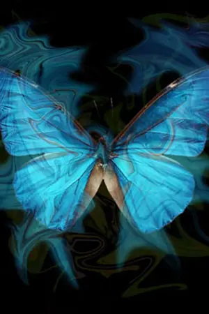 ปกนิยาย Butterfly & GlowFly [Yuri]