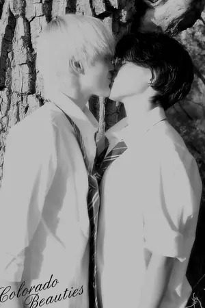 ปกนิยาย DM/HP  My love พอตเตอร์ที่รัก  (YAOI)