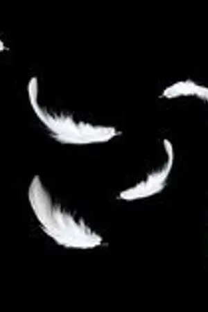 ปกนิยาย (Fanfic Hakuoki) Himeyasha ( Saito x oc )