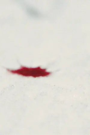 ปกนิยาย [Fic Jujutsu Kaisen] สาปไสยเลือดผสม