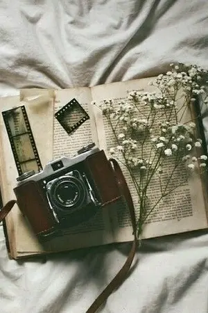 ปกนิยาย [Fic  Tokyo Revengers] ทำไงดีคะ? มีนักเลงมาจีบ [ Shinichiro X OC]