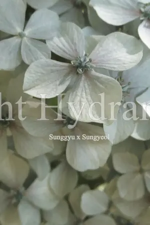 ปกนิยาย [SF]Night Hydrangea