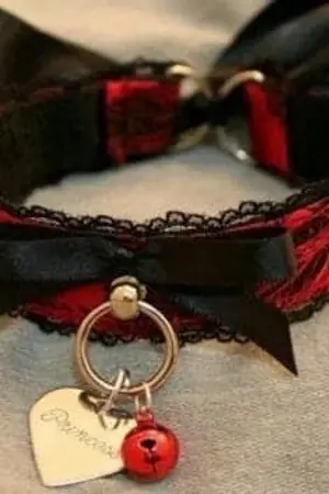 ปกนิยาย Adopt me pls