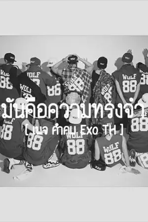 ปกนิยาย [FIC EXO]Crazylove รักบ้าๆ [ChenBaek,KrisKai,TaoHun F.EXO]