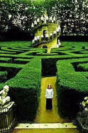 ปกนิยาย The Trap in a maze  เกมล่า คร่า(ฆ่า)ชีวิต