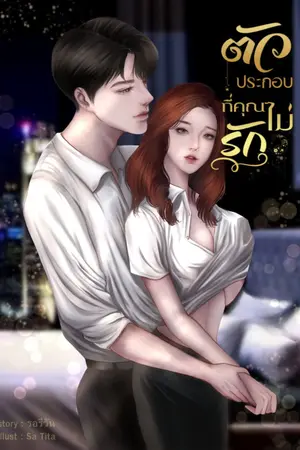 ปกนิยาย