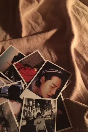 ปกนิยาย ❝ — Second Shelter | Personal RP ❞