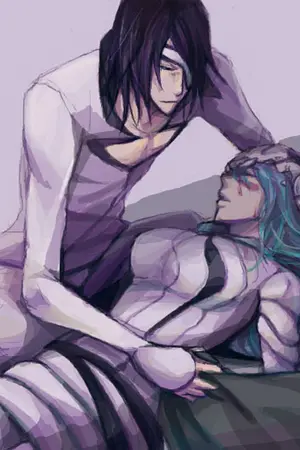 ปกนิยาย Fic Bleach : Nnoitra X Neliel