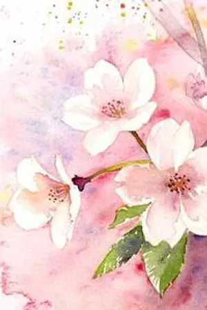 ปกนิยาย STARRY NIGHT | hunhan