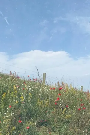 ปกนิยาย ฟากฟ้าพันดาว | hunhan