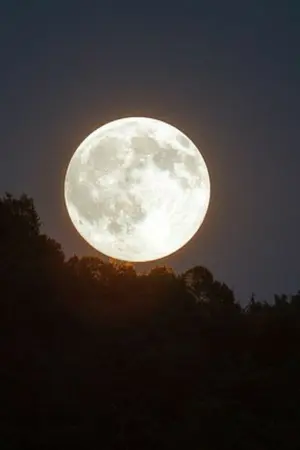 ปกนิยาย Moonlight (Taeny)