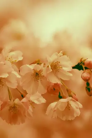 ปกนิยาย ไม่มีอะไร