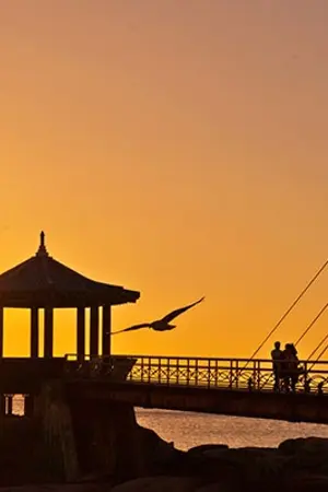 ปกนิยาย SF เส้นขนานที่ 38 องศา #bnior