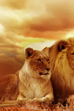 ปกนิยาย ดวงใจอลัน [ หนังสือมีพร้อมส่งคร้าบบ ]