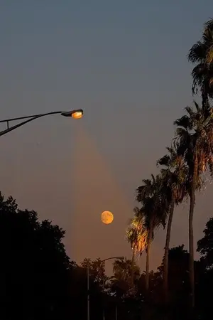 ปกนิยาย อองตองของเพียงวา [BL/Yaoi]