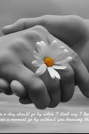 ปกนิยาย When you became to be my girlfriend