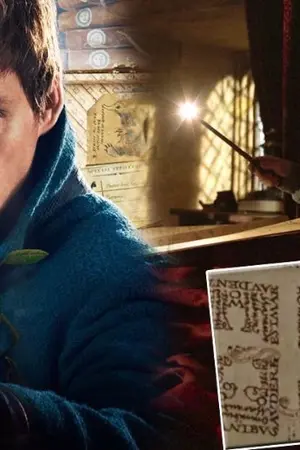 ปกนิยาย [ Harry Potter ft. Newt Scamander ] Belong together