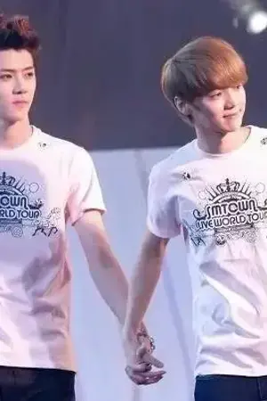 ปกนิยาย [HUNHAN] Kangin High School  ft.EXO