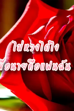 ปกนิยาย