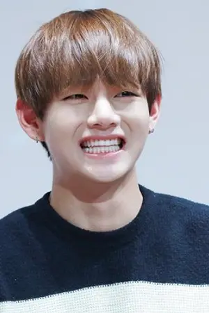 ปกนิยาย Diary of Kim EHEH ; vga ft. kookmin