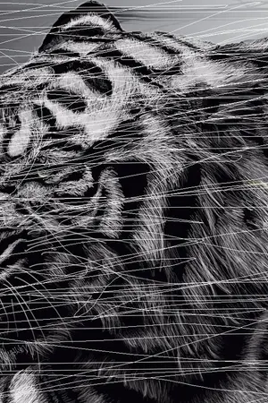 ปกนิยาย ReallyU รักษ์ไตร