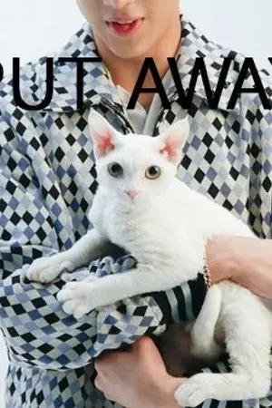 ปกนิยาย PUT AWAY เก็บรักปักใจ