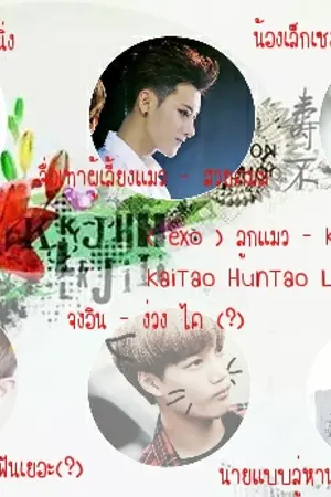 ปกนิยาย (exo) ลูกแมว - KrisTao ChanTao KaiTao HunTao LuTao