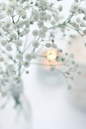 ปกนิยาย (sf/os) EXO By Kimjoonsai