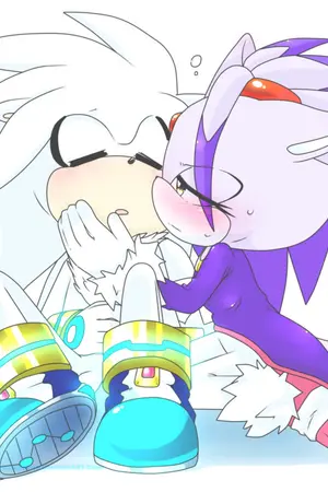 ปกนิยาย Fic sonic [silvaze]