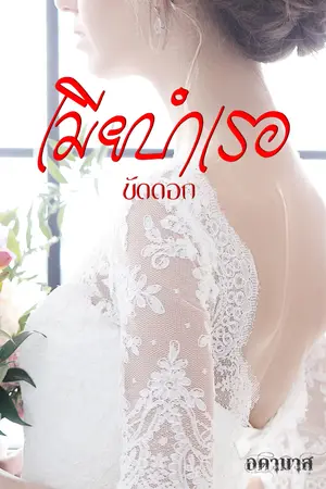 ปกนิยาย