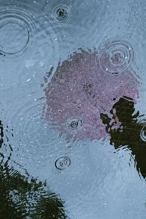 ปกนิยาย {Rainverse} My Better Half - baekdo