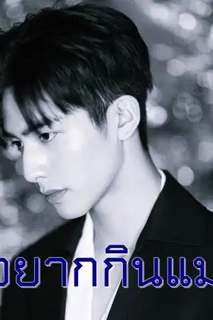 ปกนิยาย