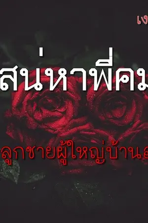 ปกนิยาย