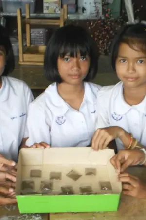 ปกนิยาย โครงงานยาสีฟันสมุนไพร IS