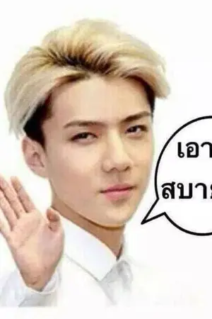 ปกนิยาย FICEXO ‵Stress Come On ✈ HunHan