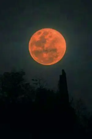 ปกนิยาย [wanna one] NEED YOU #นีดอูฮุน